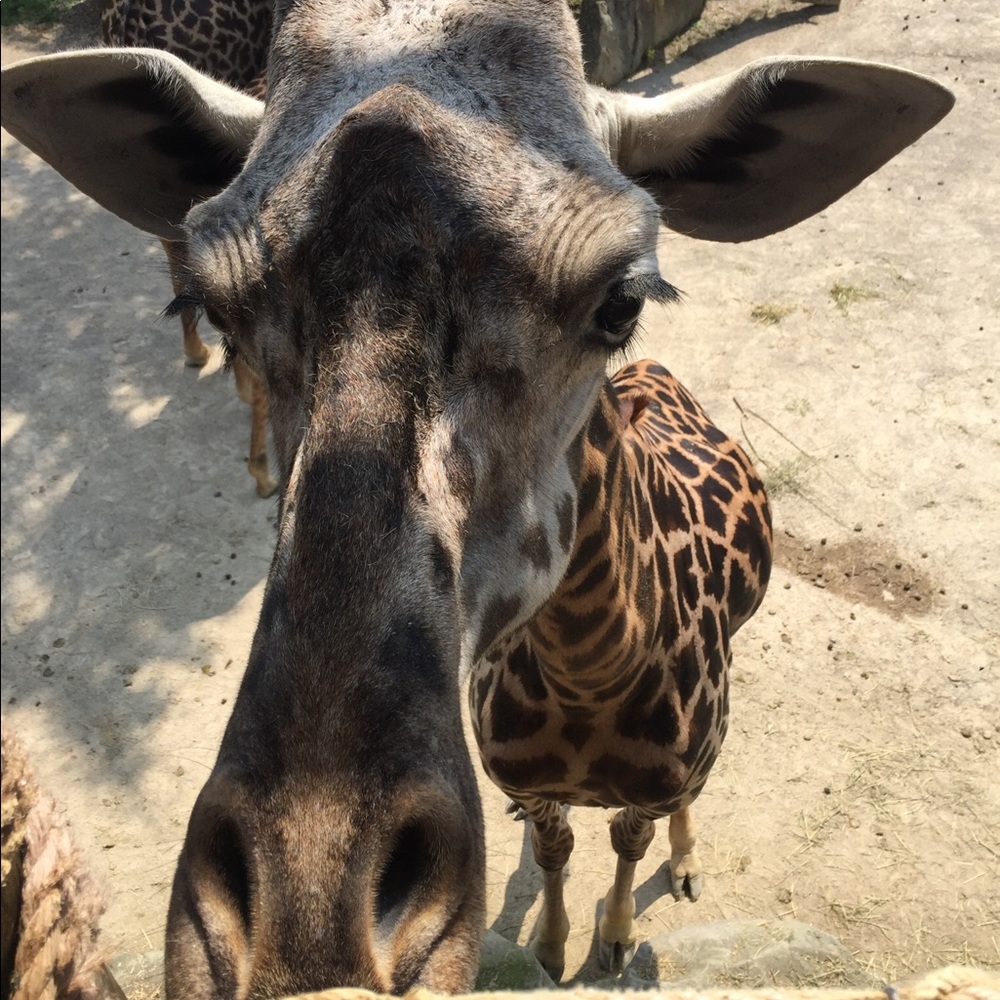 Meet your Posher, Tracy